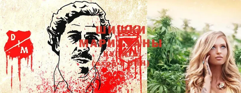 Марихуана Ganja  цены   Александров 